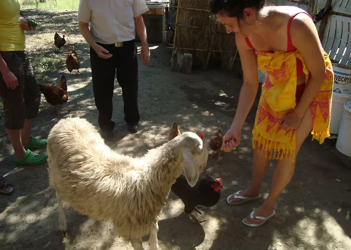 Castelli Hotel-adults Only 4* Laganas