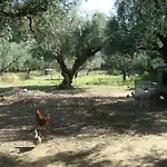 Castelli Hotel-adults Only 4* Laganas