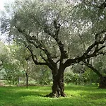 Otel Castelli Hotel-adults Only