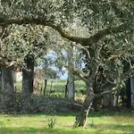 Castelli Hotel-adults Only Hotel 4*
