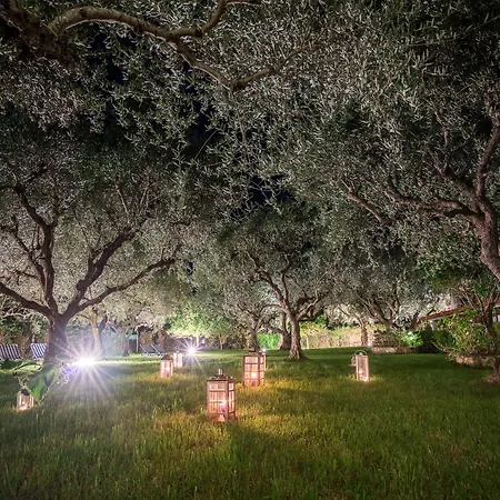 Hotel Castelli Hotel-adults Only Laganas