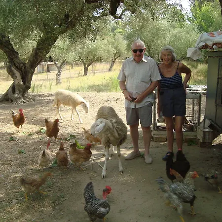 Castelli Hotel-adults Only Hotel