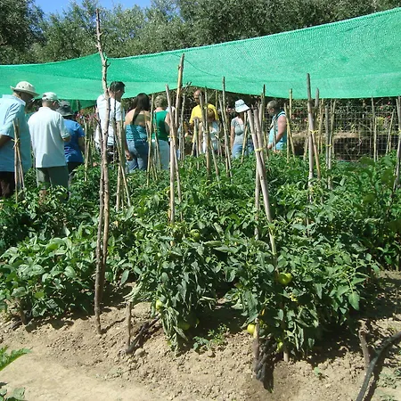 Hotel Castelli Hotel-adults Only Laganas