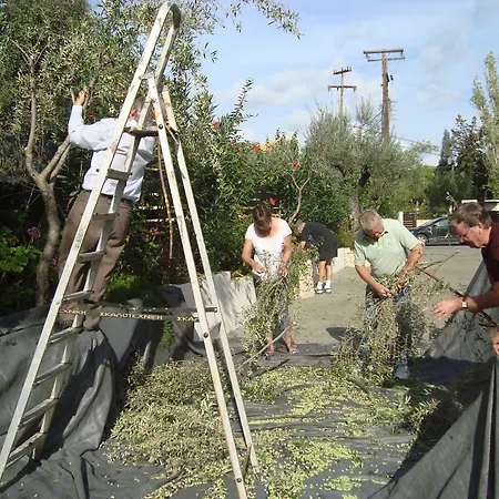 Castelli Hotel-adults Only Hotel 4*