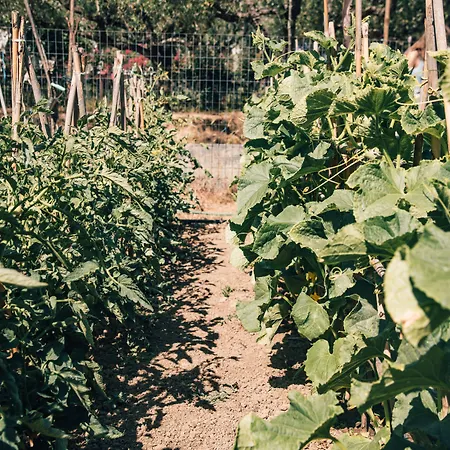 Hotel Castelli Hotel-adults Only