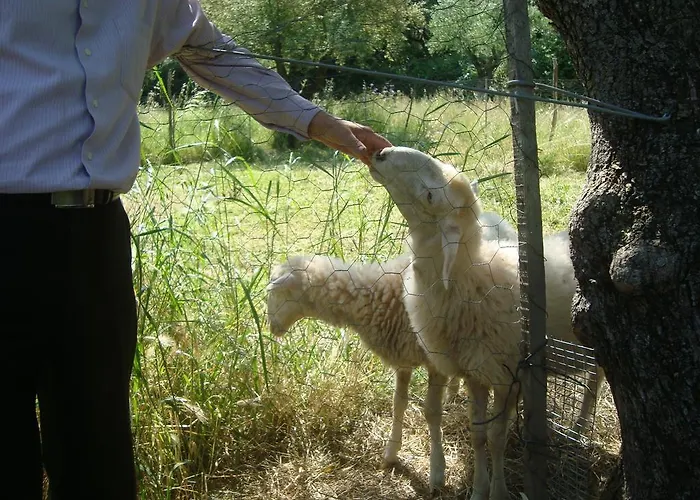 Castelli Hotel-adults Only Laganas