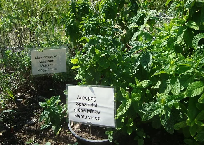 Castelli Hotel-adults Only Hotel