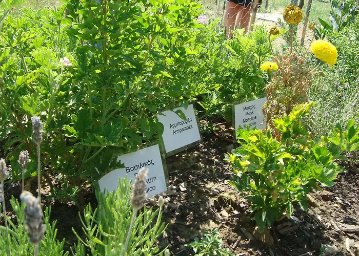 Castelli Hotel-adults Only 拉加纳斯