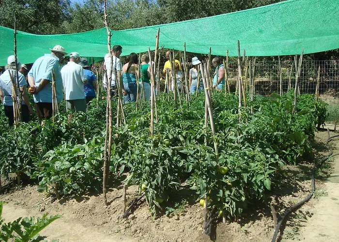 Hotel Castelli Hotel-adults Only Laganas