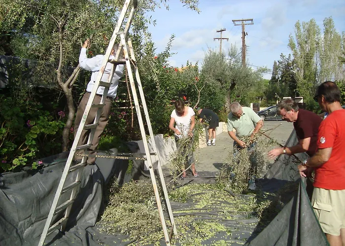 Castelli Hotel-adults Only Hotel 4*