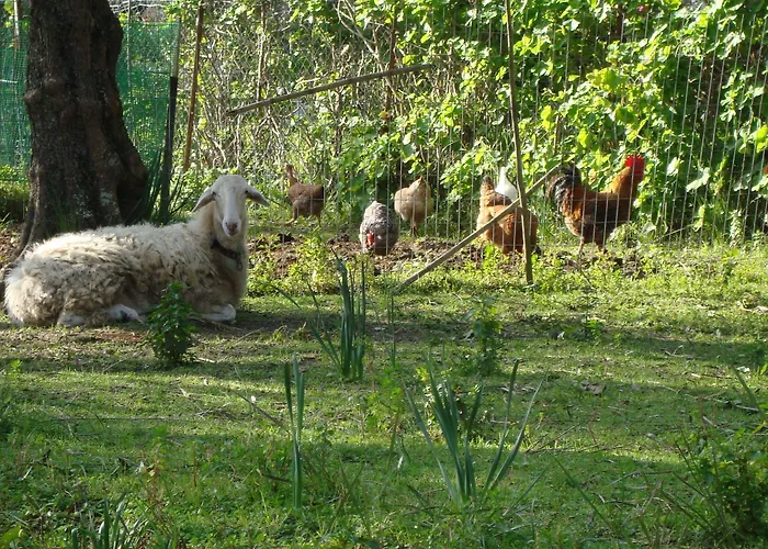 Castelli Hotel-adults Only Hotel 4*