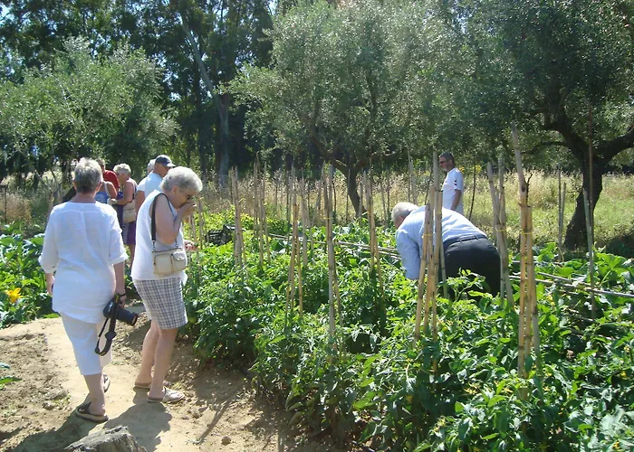 Castelli Hotel-adults Only Hotel 4*