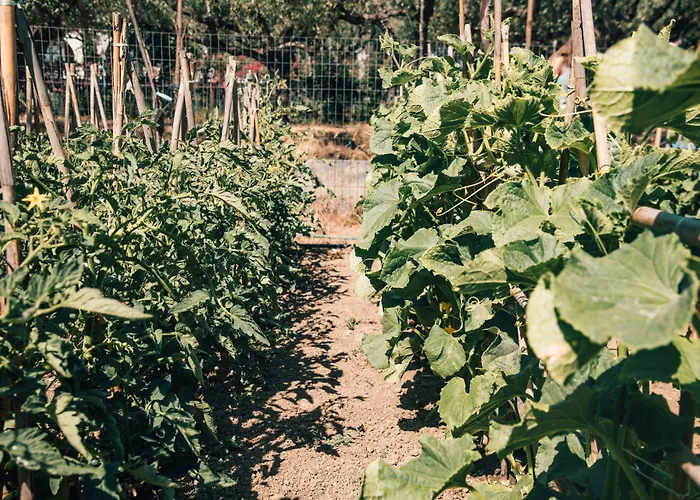 Hotel Castelli Hotel-adults Only