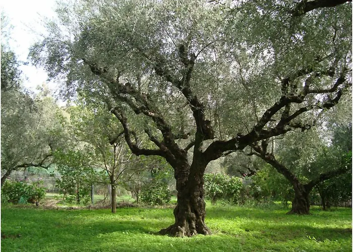 Hotel Castelli Hotel-adults Only