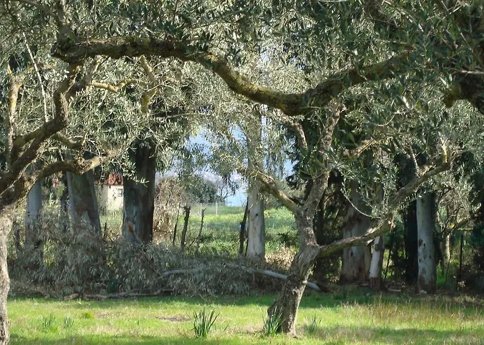 Castelli Hotel-adults Only Hotel 4*