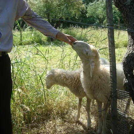 Castelli Hotel-adults Only לגאנאס