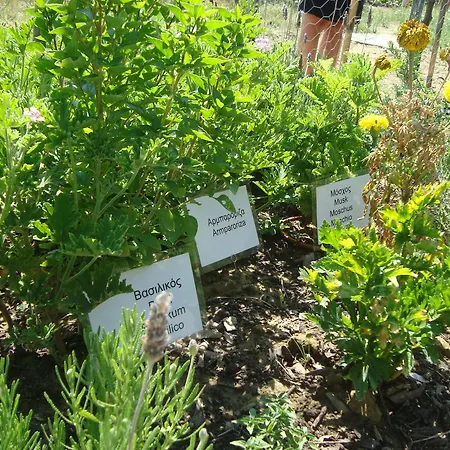 Castelli Hotel-adults Only לגאנאס