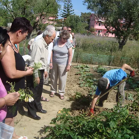 Castelli Hotel-adults Only Λαγανάς