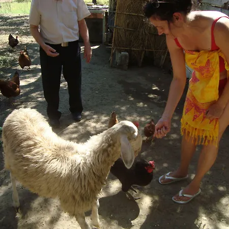 Castelli Hotel-adults Only 4* לגאנאס