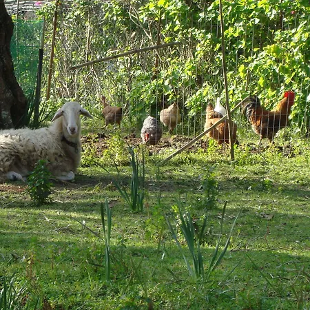 Castelli Hotel-adults Only מלון 4*