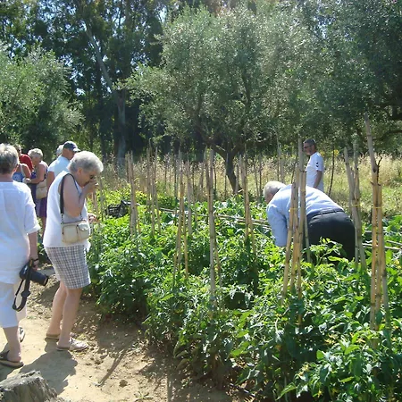 Castelli Hotel-adults Only מלון 4*