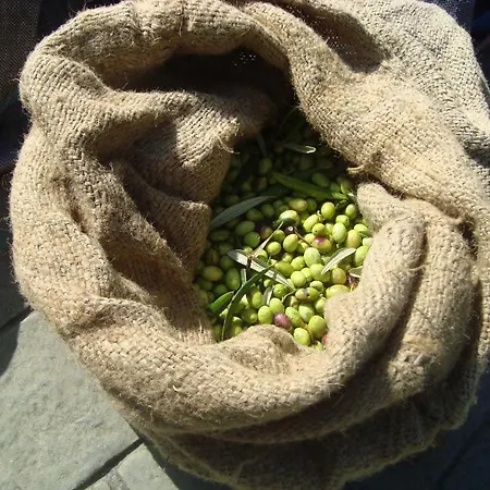 Castelli Hotel-adults Only מלון