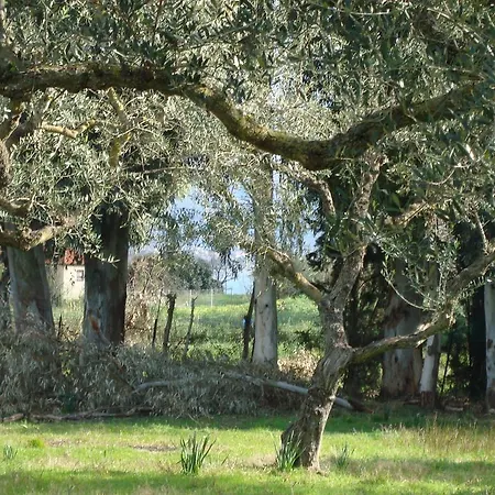 Castelli Hotel-adults Only מלון 4*