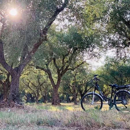 Castelli Hotel-adults Only 4*